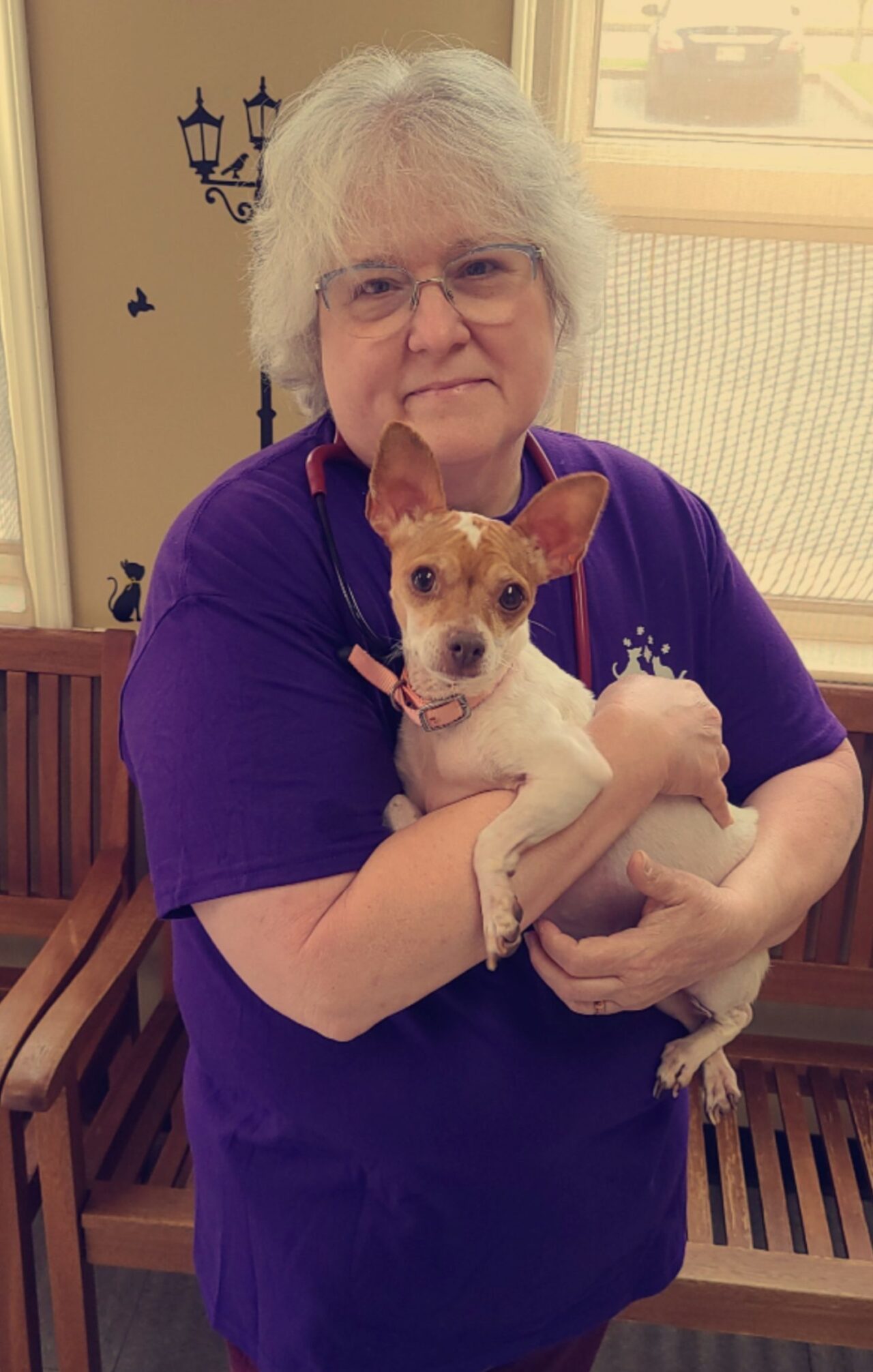 Veterinarian In Southaven, MS Stateline Animal Clinic