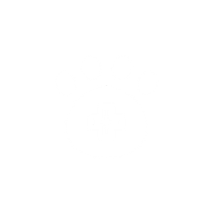 paw veterinary icon