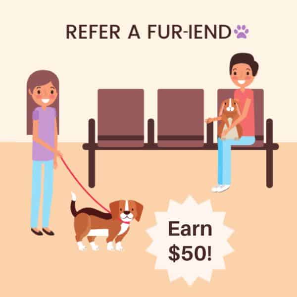 Refer a fur-iend graphics