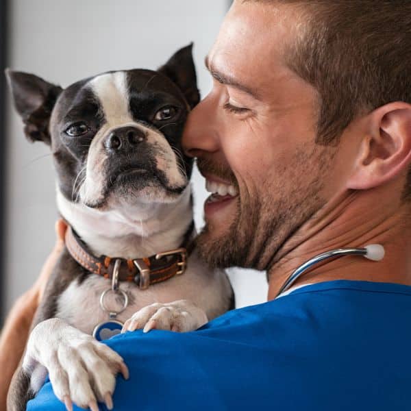 Vet holding a dog